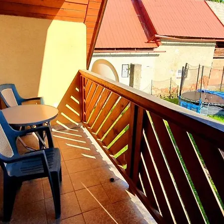 Vilka Cibulka A Cesnačik