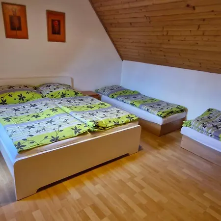 Vilka Cibulka A Cesnacik Ižipovce