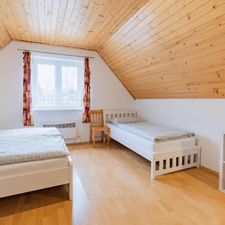 Vilka Cibulka A Cesnacik