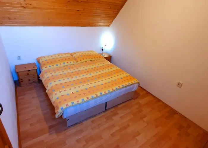 Vilka Cibulka A Cesnacik Ižipovce