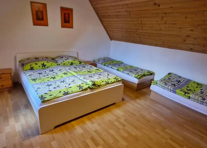 Vilka Cibulka A Cesnacik Ižipovce