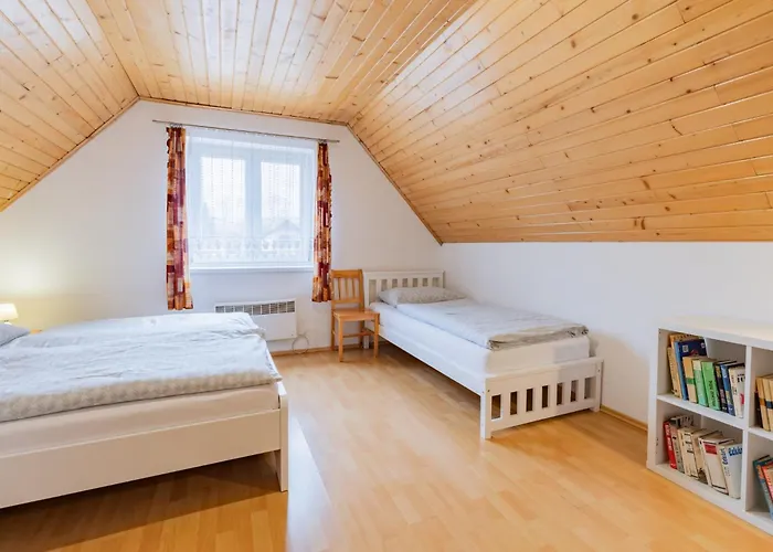 Vilka Cibulka A Cesnacik